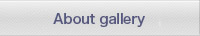 About gallery